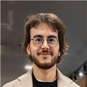 Studente laureato di Ingegneria impartisce ripetizioni di matematica per studenti di medie o superiori